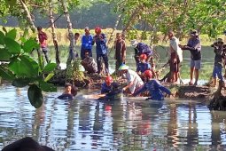 Dua hari berenang di empang warga, akhirnya seekor lumba-lumba diantarkan ke laut