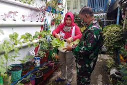 Marlinda, Srikandi BRI pencetus Kampung Sayur Palembang