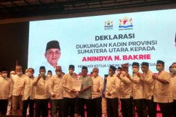 Anindya Bakrie: Langkah pemerintah pulihkan ekonomi nasional perlu diapresiasi