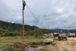 Tanaman sawit jadi kendala pemasangan jaringan PLN