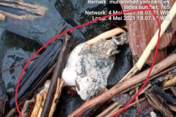 Satu jenazah tidak utuh diduga korban longsor Batang Toru ditemukan, total sudah 10 jezanah