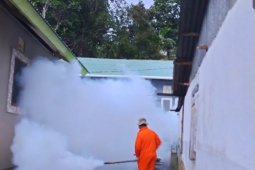 Dinkes: Kasus DBD di Kota Ambon meningkat
