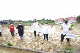 Bupati Karolin tanam padi perdana di Ngabang