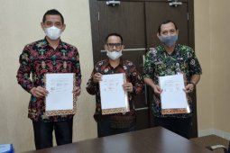 647 hektar kebun sawit di Paser segera diremajakan