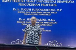 Larutan ekstrak herbal bisa hambat bakteri pada sapi perah