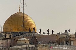 News Focus  -- International presence paramount to ending Israeli aggression