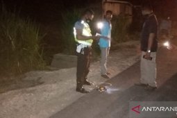 Polres Bungo periksa sopir Xenia penabrak motor di Bungo