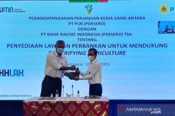 PLN, Bank Mandiri, dan BRI bersinergi dorong pemulihan perekonomian melalui "Electrifying Agriculture"