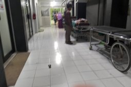 Ratusan petasan meledak, lukai belasan orang