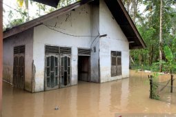 Downpour-triggered flooding submerges 14 villages in West Aceh