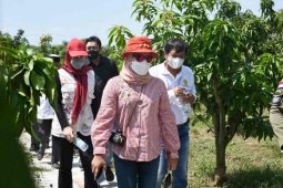 Indramayu larang semua wahana "water boom" beroperasi