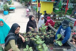 Lurah Jenebora Penajam  ubah permukiman jadi hijau