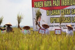 Lampung luncurkan kartu petani di Tulangbawang