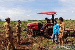 Tanah Bumbu data lahan pertanian yang terdampak banjir di Satui