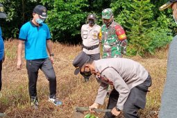 Muspika Haruai Tabalong tanam ribuan bibit durian