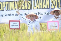 Bupati Tulang Bawang siap genjot sektor pertanian