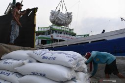 News Focus -- Government positive economic recovery on horizon