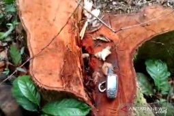 YES minta aktivitas pembukaan lahan Hutaimbaru Tapsel dihentikan