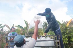 KKP salurkan 350.000 benih ikan air tawar