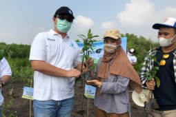 Jasa Raharja Banten tanam 500 bibit mangrove di Pantai Pontang, Serang, Banten