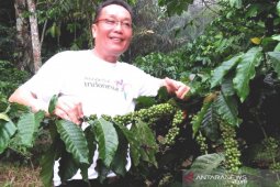 Rejang Lebong miliki 11 komoditas perkebunan