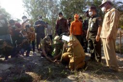 Pemkab Bangka Barat tanam 5.000 pohon di lahan kritis Bukit Menumbing