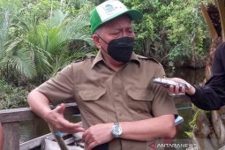 Dirjen KSDAE kagumi akar Mangrove Munjang