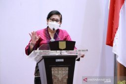 Dekranasda Bali minta Karangasem kembangkan potensi Bunga Kasna/Edelweiss