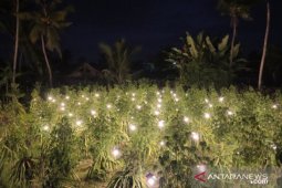 PLN Bali ajak petani beralih ke mesin listrik untuk pertanian