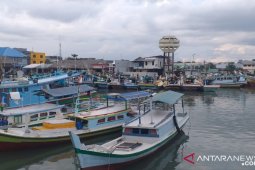 PPN Tanjung Pandan mencatat 523 kapal aktif daratkan ikan