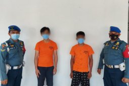 Penyelundupan baby lobster senilai 4 miliar ke Singapura berhasil digagalkan Lanal Batam