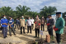 Pemkab Bangka Tengah mengembangkan budi daya udang vaname skala rakyat