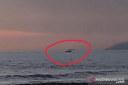 Gawat !! Pukat Harimau berkeliaran di laut Tapsel