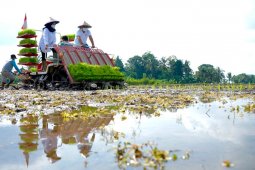 Banyuwangi jadi proyek percontohan "agro solution" sejak 2020