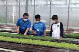 Mentan dan Menkop-UKM dorong program korporatisasi UMKM bidang pertanian