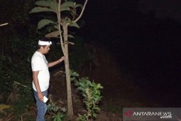 Dedi Mulyadi desak KLH tindak perusak hutan di Karawang