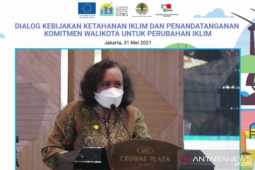 KLHK sebut pemda ujung tombak mengatasi perubahan iklim