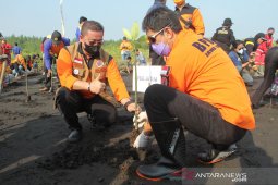 FPRB Kota Probolinggo peringati Hari Lahir Pancasila dengan tanam bibit mangrove