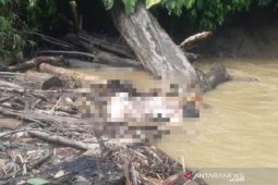Empat hari tenggelam, penambang emas di Aceh Barat ditemukan meninggal dunia