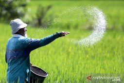 Akademisi ingatkan Aceh harus siapkan regenerasi petani yang menyasar kaum milenial