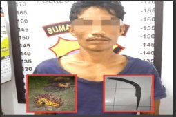 Curi kelapa sawit ditangkap Polsek Padang Hilir
