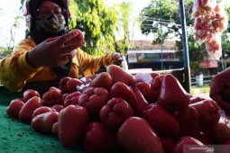 Pedagang Musiman Jambu Demak di Madiun