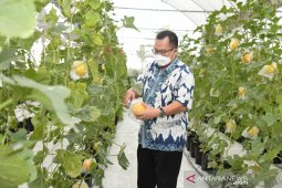 IPB dorong mahasiswanya jadi petani