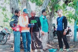 DPKP Situbondo survei pemasangan lampu PJU ke kawasan Merak-Baluran