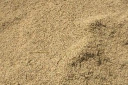 Harga gabah di Mesuji naik di tengah pandemi COVID-19