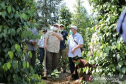 Optimalkan lahan pertanian, Gubernur Babel ajak petani tanam beragam komoditi