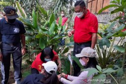 Pemkab kembangkan Kebun Raya Gianyar jadi destinasi wisata edukasi