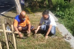 ASN Bone Bolango tanam pohon peringati Hari Lingkungan Hidup