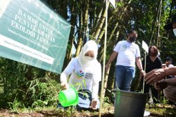 Desa Claket - Mojokerto  jadi sentra pembibitan bambu