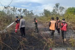 BPBD  Penajam ingatkan warga waspada karhutla